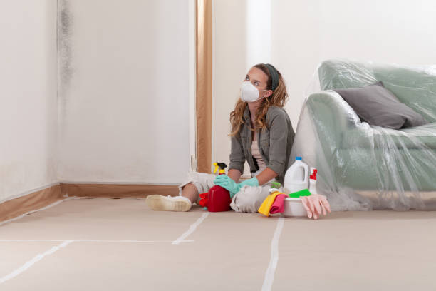 Reliable Mold Testing contractor in Bridgeport, MI by WQB Mold Removal